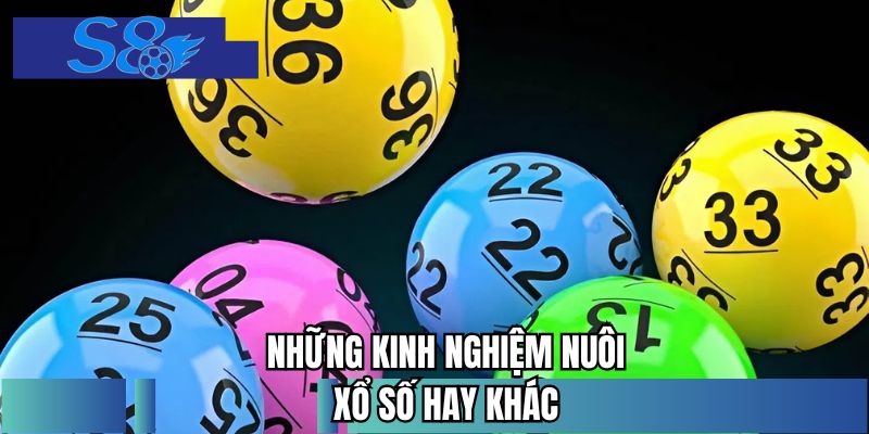 Những kinh nghiệm nuôi xổ số hay khác