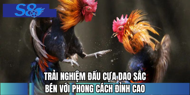 Trải nghiệm đấu cựa dao sắc bén với phong cách đỉnh cao